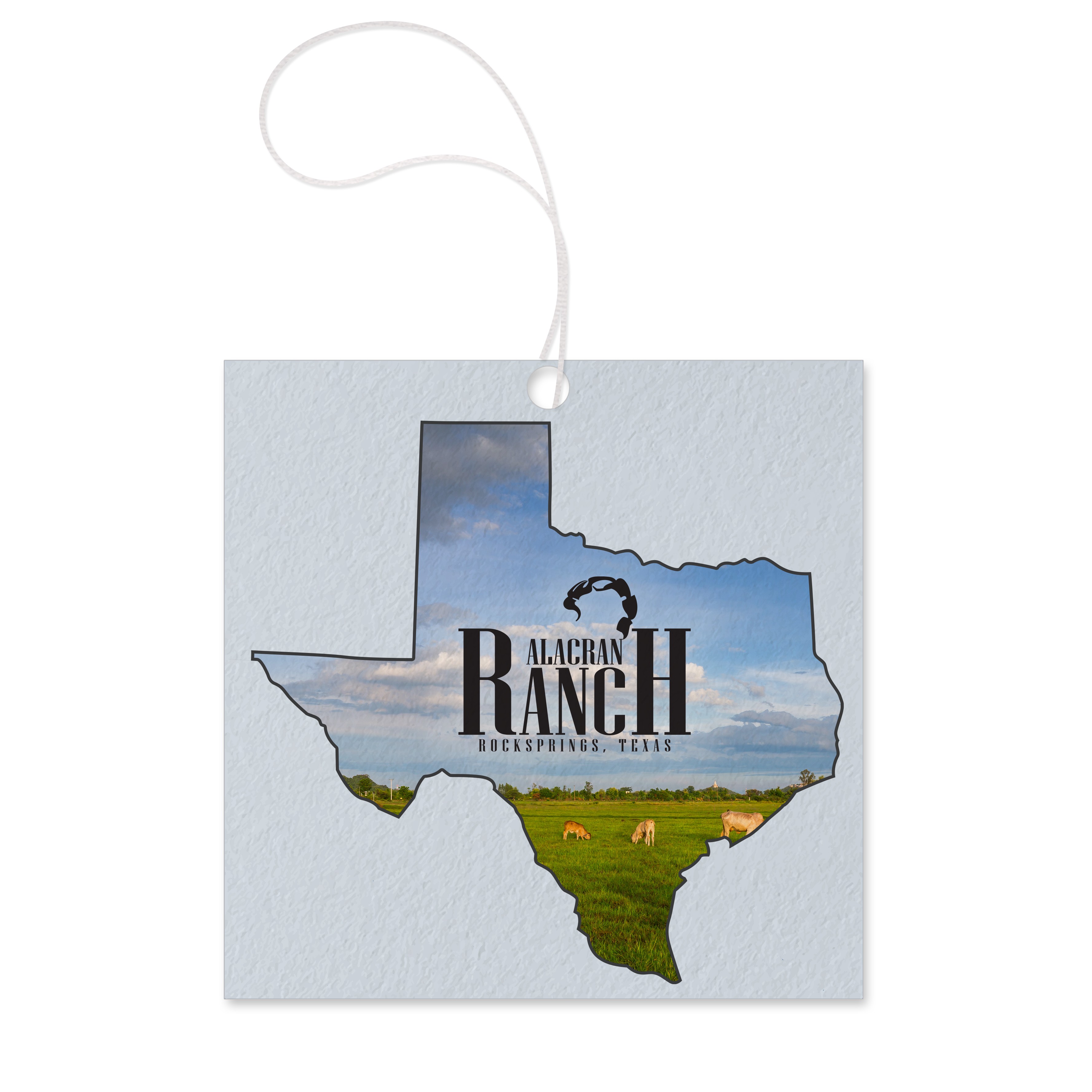 Square Shape color option for Tek Scents Air Freshener   Several Stock Shapes To Choose From