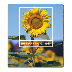 Photo of Bic® Ultra Thin Firm Mouse Pad (7 1/2" X 8 1/2")