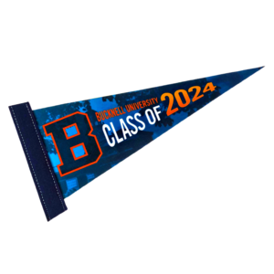 Photo of 5" X 12" Full Color Felt Pennant