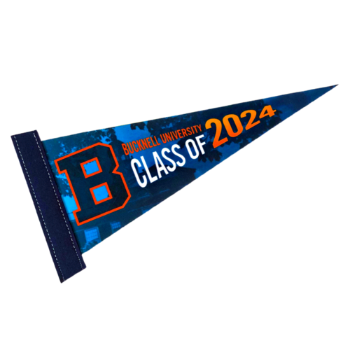 Photo of 5" X 12" Full Color Felt Pennant