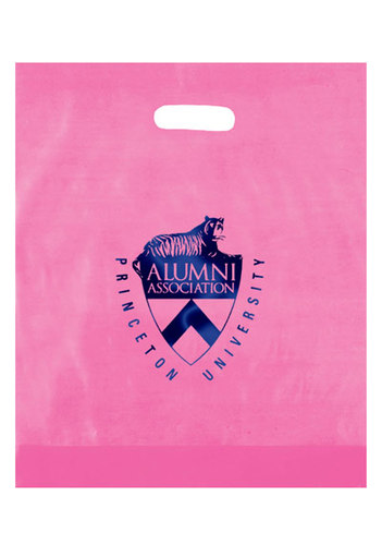 Photo of Frosted Die Cut Bag