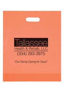 Photo of Frosted Die Cut Bag