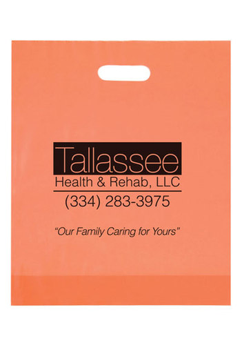 Photo of Frosted Die Cut Bag