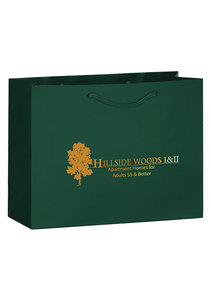 Photo of Matte Laminated Euro Tote Bag |13x5x10|