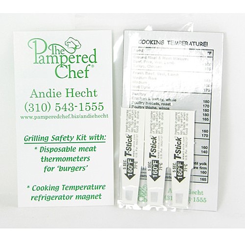 Photo of Hamburger T Stick  Disposable Thermometer Cooking Kit	