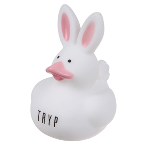 Photo of Bunny Duck