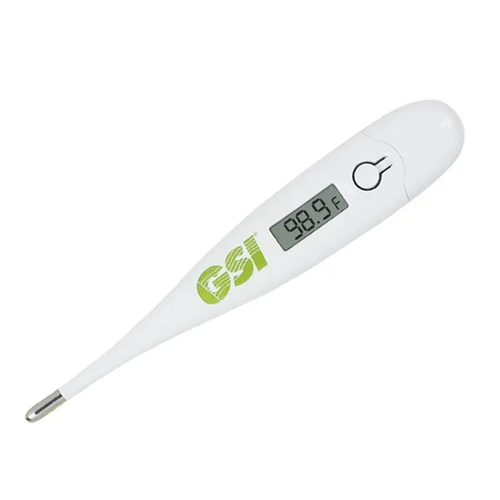 Main photo of Digital Thermometer