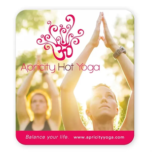 Photo of Bic 30 Mil Large Stock Shape Magnet