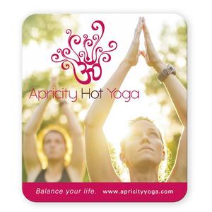 Photo of Bic 30 Mil Large Stock Shape Magnet