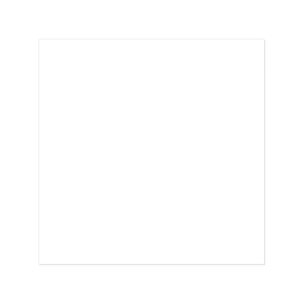 White color option for Bic 30 Mil Medium Stock Shape Magnet
