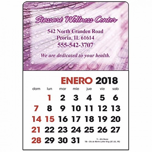 Photo of Full Color Stick Up, Spanish Grid Calendar