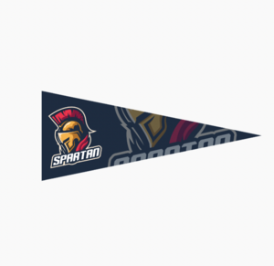 Photo of 4" X 10" Full Color Felt Pennant
