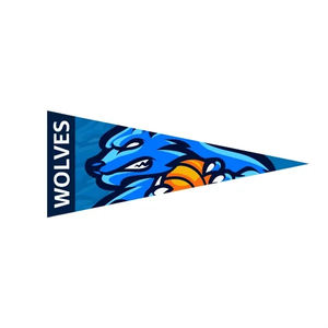 Photo of 9" X 24" Full Color Felt Pennant