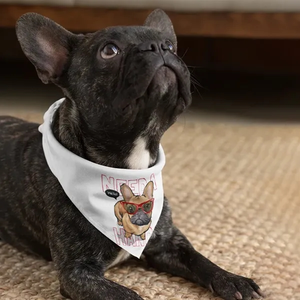 Photo of Pet Bandana Full Color 18x18