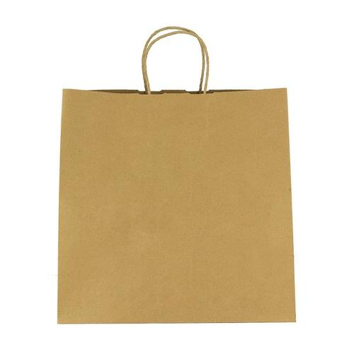 Photo of Kraft Paper Brown Shopping Bag   10" X 10"