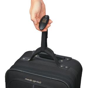 Photo of Luggage Scale