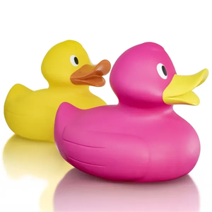 Photo of Jumbo Duck