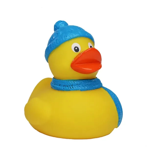Photo of Winter Duck