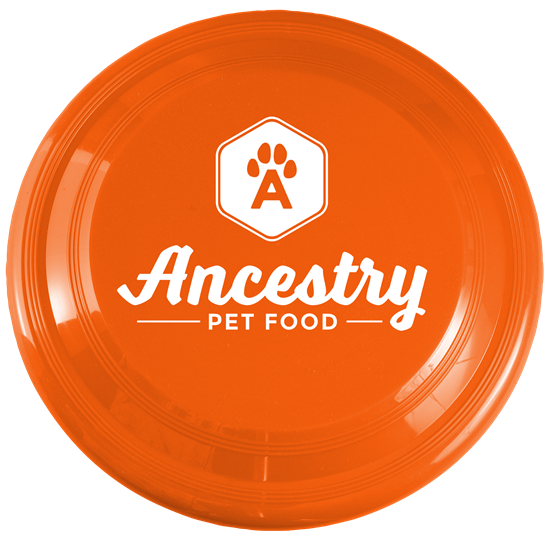 Bright Orange color option for Fetch!   9" Dog Friendly Flyer