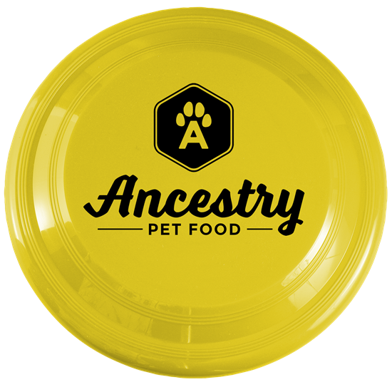 Yellow color option for Fetch!   9" Dog Friendly Flyer