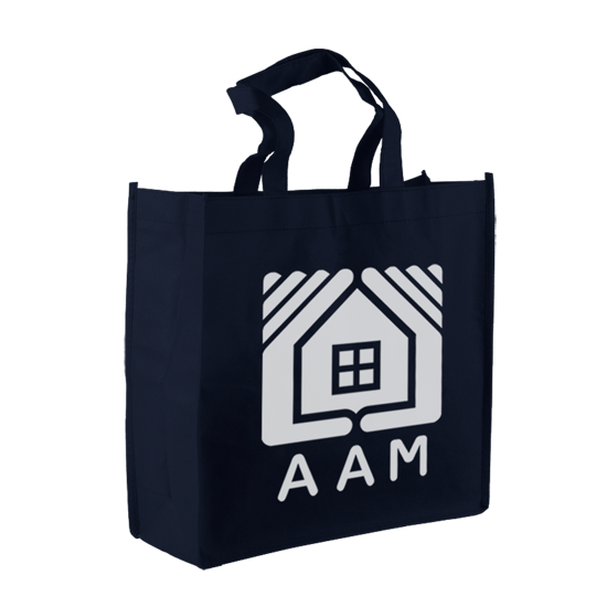 Navy Blue color option for The Companion   13" Non Woven Tote