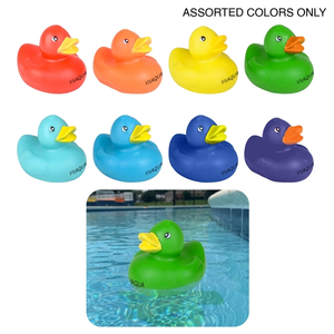 Photo of Colorful Duck