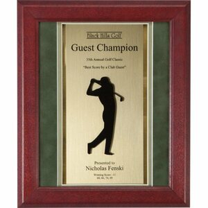 Photo of Golf 204 Award