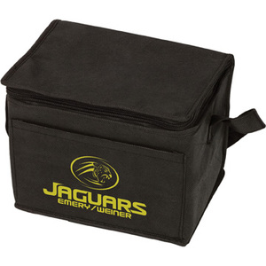Photo of Insulated 6 Pack Cooler Bag