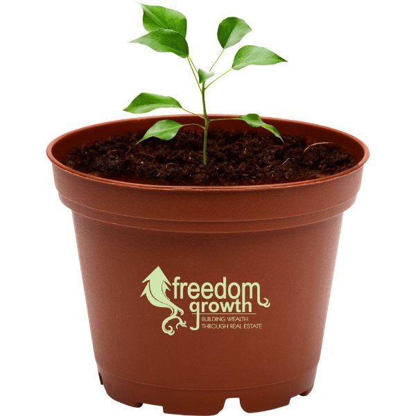 Plntrwee color option for Terra Cotta Wee Planter Kit