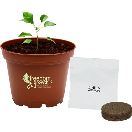 Main photo of Terra Cotta Wee Planter Kit