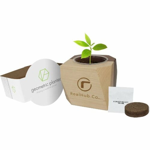 Main photo of Geometric Wooden Planter