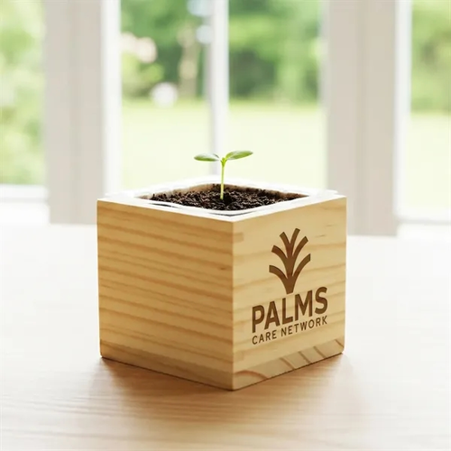 Main photo of Wooden Cube Grow Kit