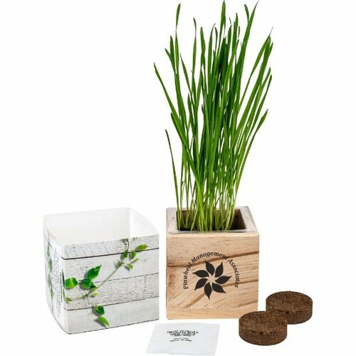 Main photo of Wooden Cube Grow Kit