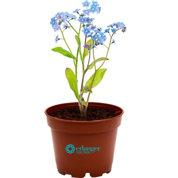 Planter color option for Terra Cotta Petite Planter Kit