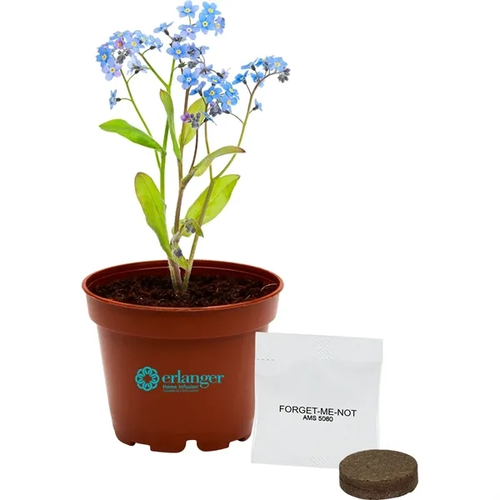 Main photo of Terra Cotta Petite Planter Kit