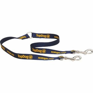 Photo of Double Pet Leash