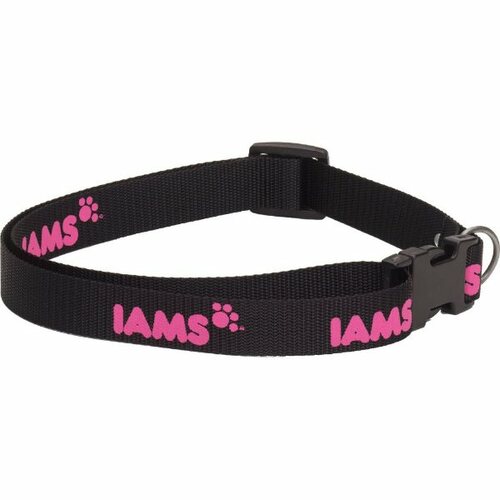 Main photo of Dog Collar Large
