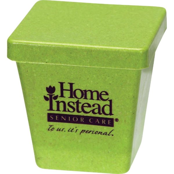 Green color option for Mini Bamboo Planter