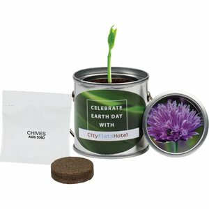 Photo of Paint Pail Planter Kit