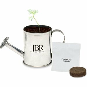 Photo of Watering Can Planter Kit