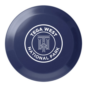 Photo of 5 Inch Flyer