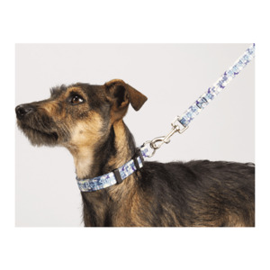 Photo of Full Color 3/4" Wide Premium Pet Leash