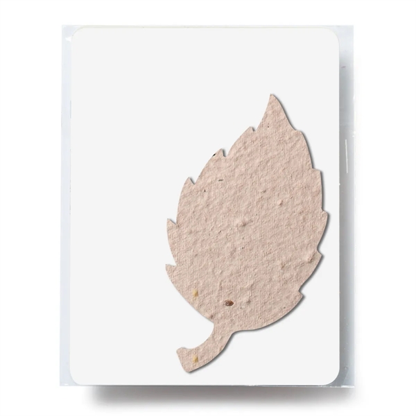 Aspen color option for Bloomin Aspen Shaped Plantable Gift Pack