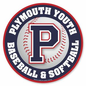 Photo of Car Sign Ball 10 Diameter