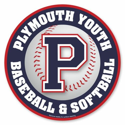 Photo of Car Sign Ball 10 Diameter