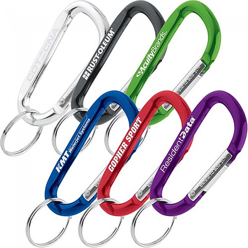 Photo of Carabiner Key Tag