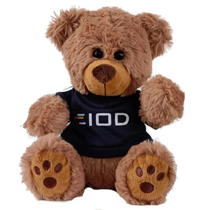 Photo of Plush Bear W/ Embroidered Paws And T Shirt