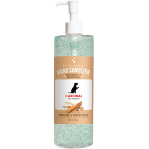 Photo of Moisturizing Sanitizer With Beads: 16 Oz, Pump