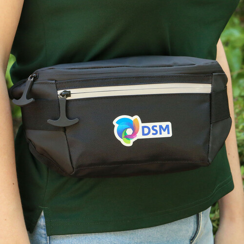Main photo of Glacier Peak Waist Pack