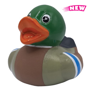 Photo of Mini Mallard Duck